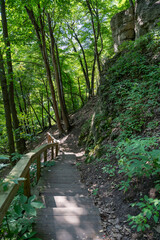 A walking path to the horizon in a local state park surrounded by lush greenery.