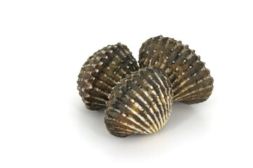 This is a close-up photo of a white background clam shell, commonly known as a cockle. seafood. This shell is often found on sandy.