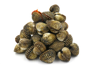 This is a close-up photo of a white background clam shell, commonly known as a cockle. seafood. This shell is often found on sandy.
