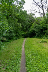 A walking path to the horizon in a local state park surrounded by lush greenery.