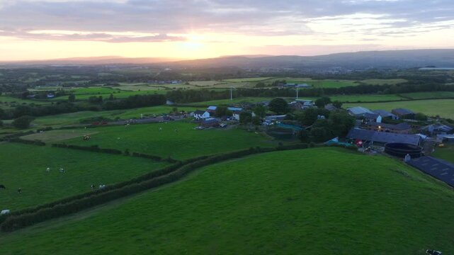 Before the sunset, aerial view of cows grazing on a green hillside of Tandle Hill in Oldham, Greater Manchester. 