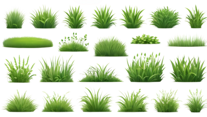 Lush Spring Green Grass Texture - Transparent PNG


