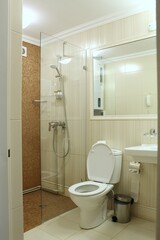 bathroom in the hotel with open shower cabin