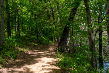 A walking path to the horizon in a local state park surrounded by lush greenery.