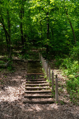 A walking path to the horizon in a local state park surrounded by lush greenery.