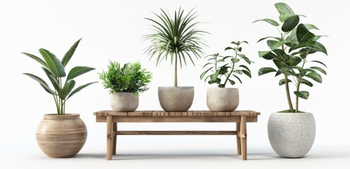 Indoor Plants Arranged on Wooden Table With Natural Textures in Modern Decor