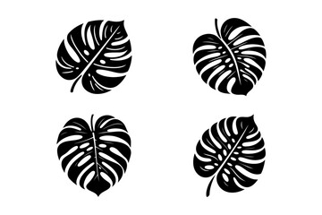 Set of Monstera leaf silhouette vector illustration.