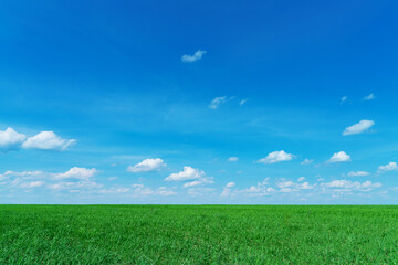 Obraz premium summer landscape with road and clouds in the blue sky