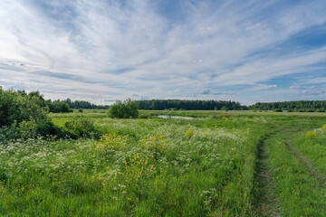 Naklejka premium summer landscape with road and clouds in the blue sky