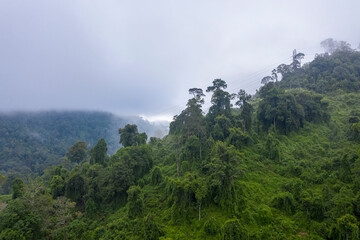 morning atmosphere in the mountains
