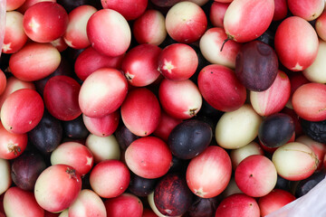 red and white candy