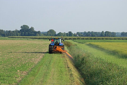 a farmer is mowing grass and reed in a ditch between green fields in summer in the countryside with a tractor and a mower