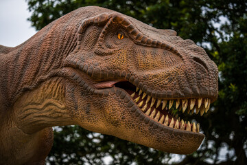 Close up of a T-Rex Tyrannosaurus Rex in the Pangea Discovery of Dinosaurs display at the Yorkshire...