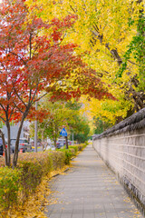 A peaceful walkway in Jeonju Hanok Village, adorned with a traditional Korean stone wall and vibrant autumn leaves in yellow and red, exudes cultural charm.