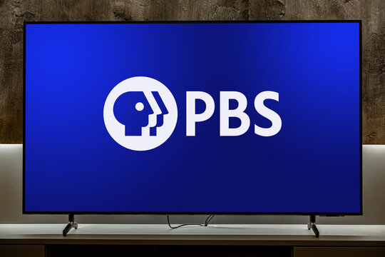 Flat-screen TV set displaying logo of PBS