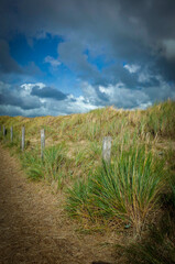 Netherlands Egmond aan Zee. Landscape in the dunes at the dutch North Sea coast.