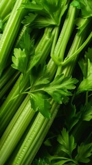 Obraz premium Celery stalks with leaves, refreshing green tones
