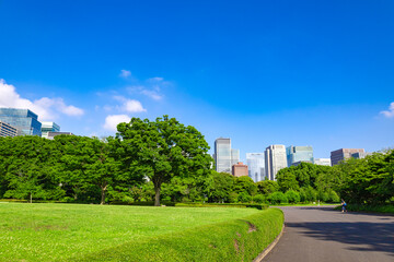 皇居東御苑・江戸城跡の公園の木々越しに見える、都会・丸ノ内・大手町・日比谷のビル（東京都千代田区）