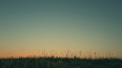 Fototapeta premium A horizon line where the grass meets a clear sky at sunset