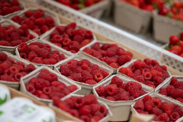 Körbchen mit Himbeeren nach der Ernte auf dem Hof
