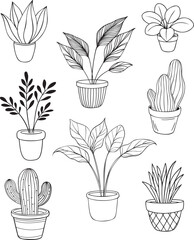 Hand-Drawn Potted Plants Collection