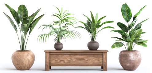 Lush Green Indoor Plants Arranged Neatly on a Wooden Table Surrounded by Natural Light