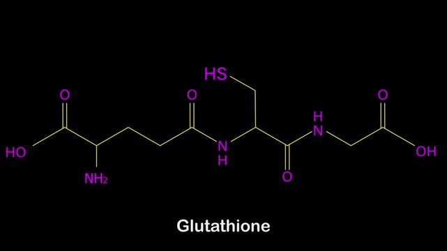 Easy to use vector clip of Glutathione