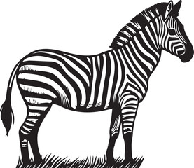 A Beautiful zebra line art design.