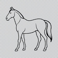 Hand drawn horse outline illustration