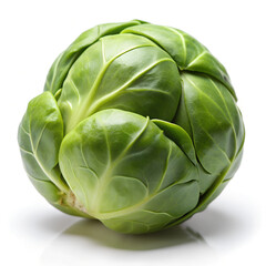 Obraz premium Single Brussels Sprout on White Background