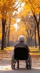 Elderly Person in Wheelchair Enjoys Autumn Stroll Through Golden Trees