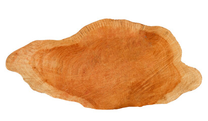 Cut-out image of a cross-section of a log on a white background with clipping paths.