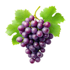 Obraz premium A bunch of purple grapes with green leaves