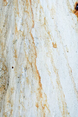Eucalyptus tree bark texture, Bark of eucalyptus tree, seamless texture, a eucalyptus tree bark texture background image