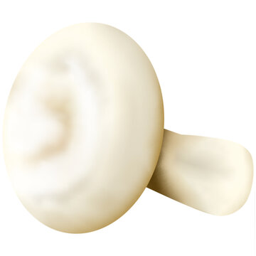 Widely consumed mushrooms in the world