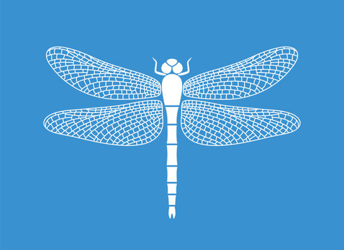 recommend clip art: Dragonfly outline. Isolated dragonfly on white background