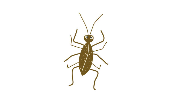 recommend clip art: Vector illustration of brown beetle or cockroach