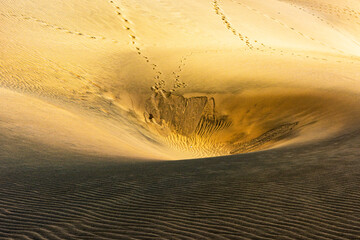 Pustynny krajobraz – wirujące wzory wydm i ślady w piasku układające się w tajemniczą opowieść o naturze i czasie. © damian