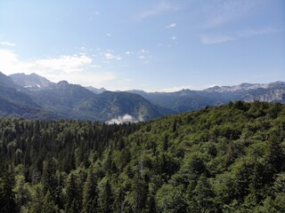 Fototapeta premium Forest landscape in the mountains of Slovenia
