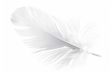 Obraz premium A single white feather sits on a white background