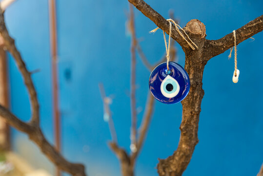 evil eye bead hanging on the tree, space for text with blue background