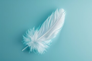 A single white feather sitting on a bright blue surface