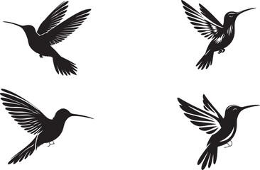 hamming birds on silhouette vector art of illustration with white background.
