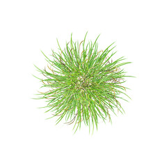 Green Grass Border isolated on white background