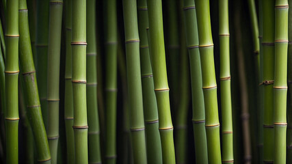 Obraz premium Dense Green Bamboo Stalks Close-Up
