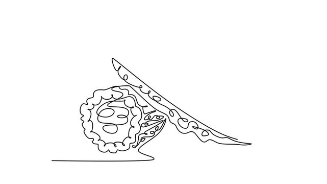 Animated self drawing of continuous line draw of whole and sliced healthy organic bitter gourd for garden logo identity. Fresh Indonesian pare concept for veggie icon. Full length one line animation