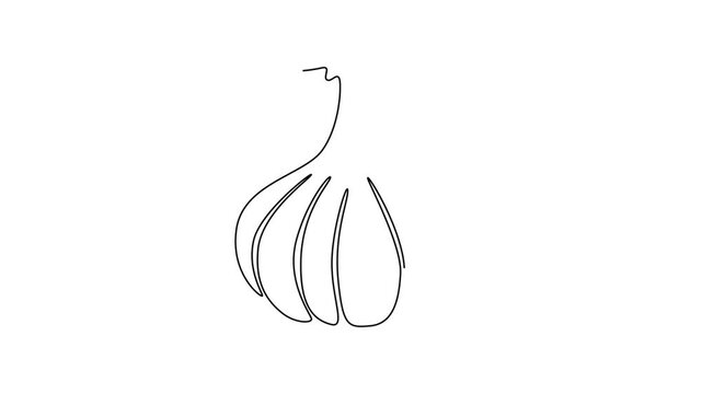 Self drawing animation of single line draw of whole healthy organic garlic for plantation logo identity. Fresh cuisine seasoning concept for vegetable icon. Continuous line draw. Full length animated
