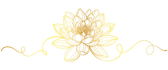 Vector lotus flower gold background, luxury floral art. Vintage line ornament, beauty nature illustration