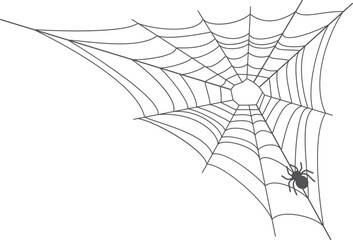 Cobweb with spider silhouette. Halloween decoration. Web element