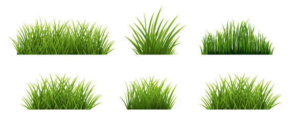 Green Grass Set Isolated Background